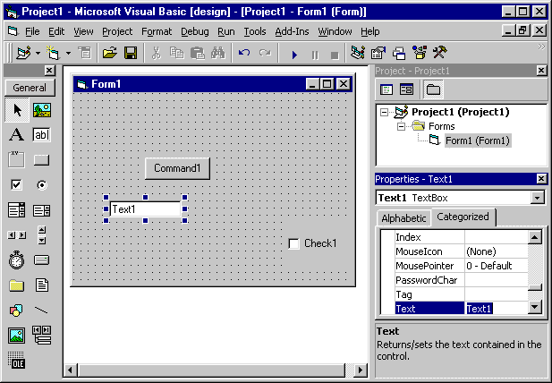 The Visual Basic programming environment